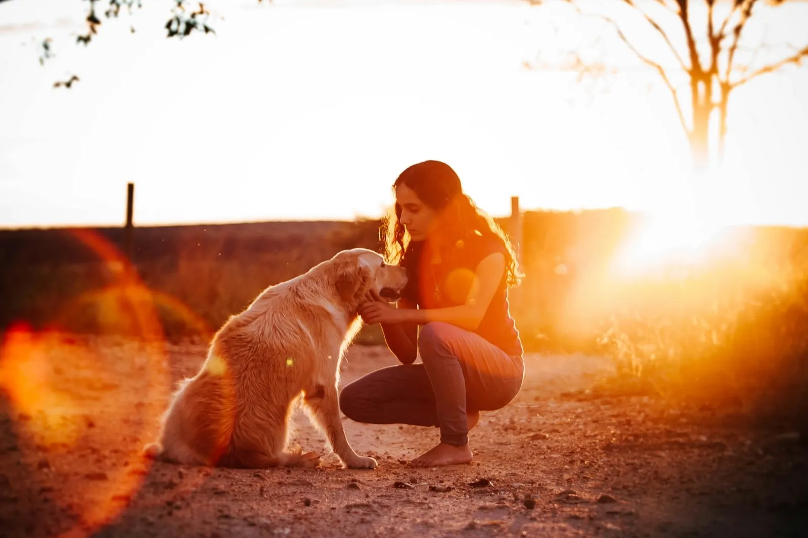 Euthanasia for Dogs Near Me: Animal Aftercare Provides Compassionate End-of-Life Services.