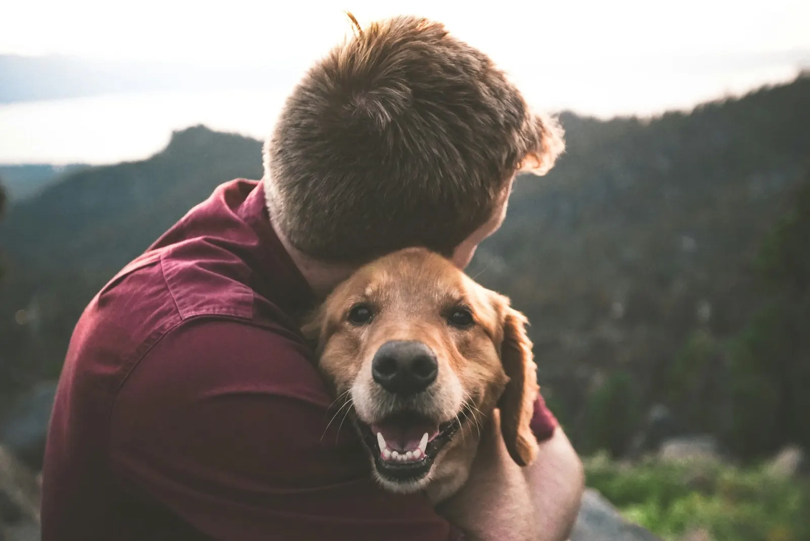 I Feel Like I Killed My Dog: Animal Aftercare Can Help.