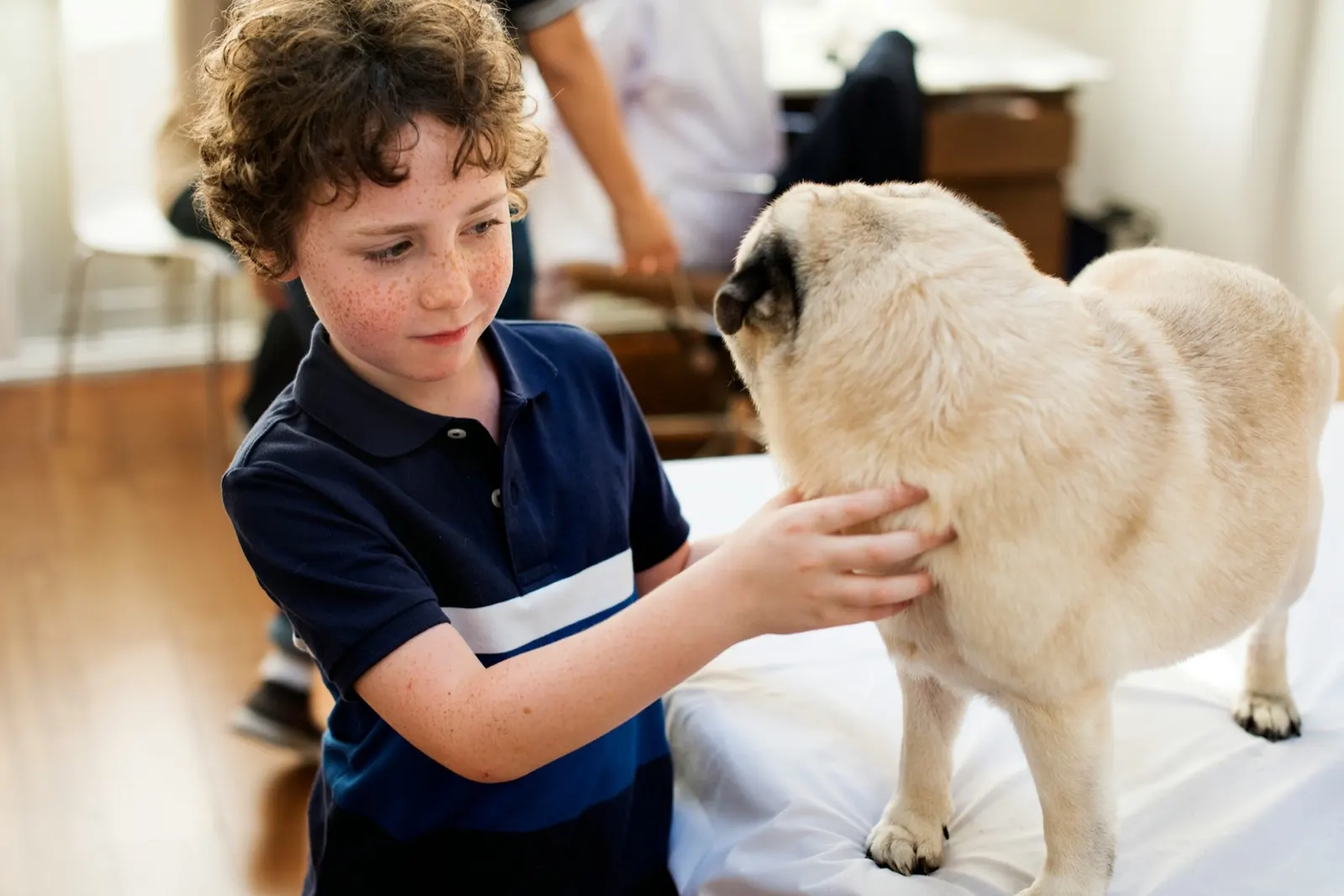Is It Ok to Bury Your Dog in the Backyard? Insights from Animal Aftercare.