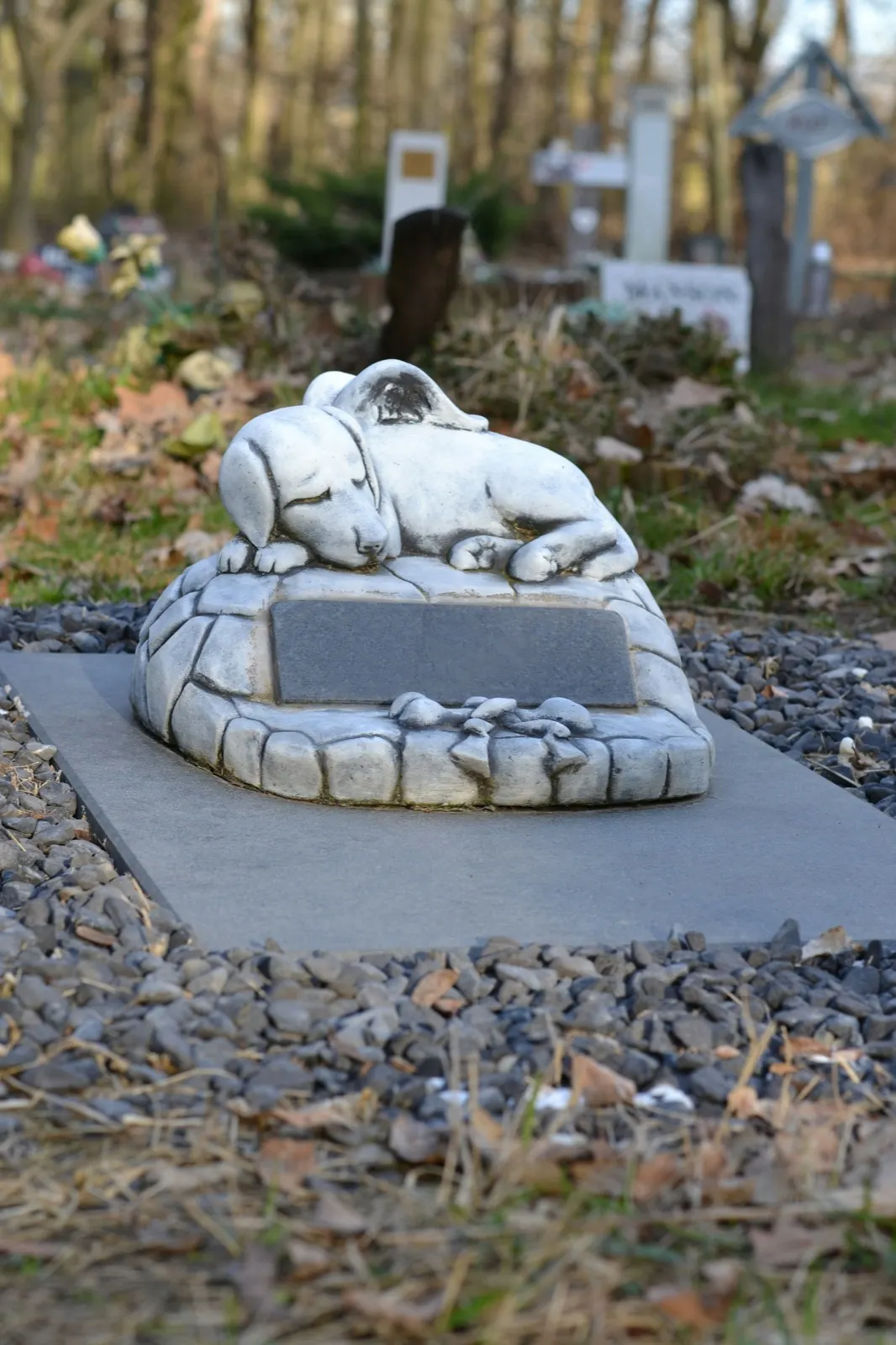Memory Stone Pet: Honoring Your Beloved Companion with Animal Aftercare.