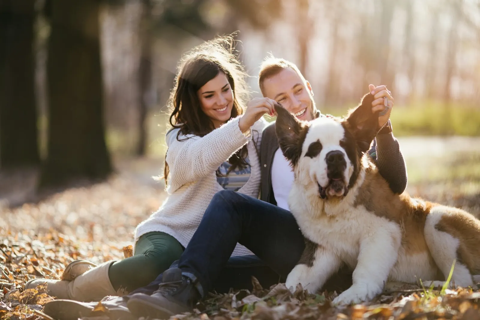 Pet Urns for Large Dogs: A Guide by Animal Aftercare.
